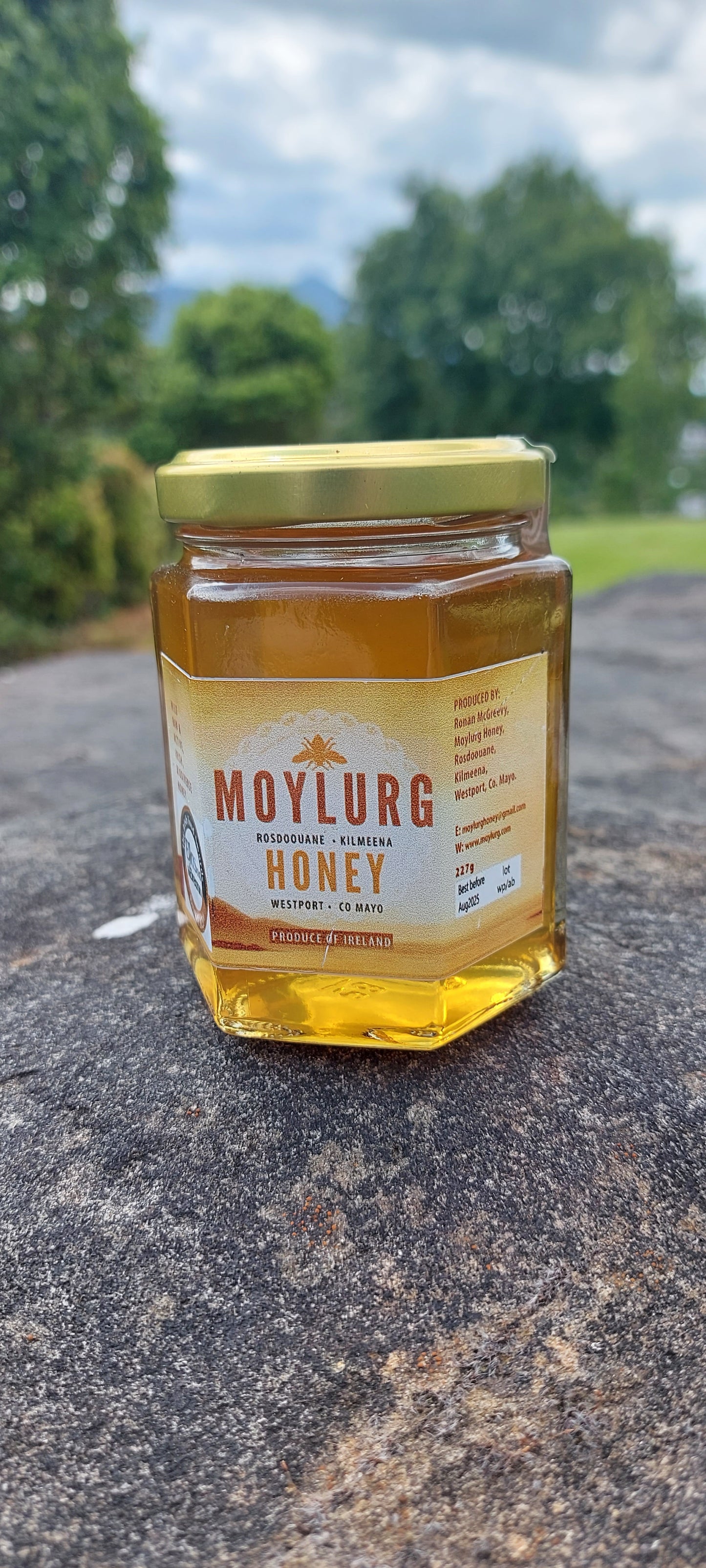 Moylurg Honey from Westport 227g