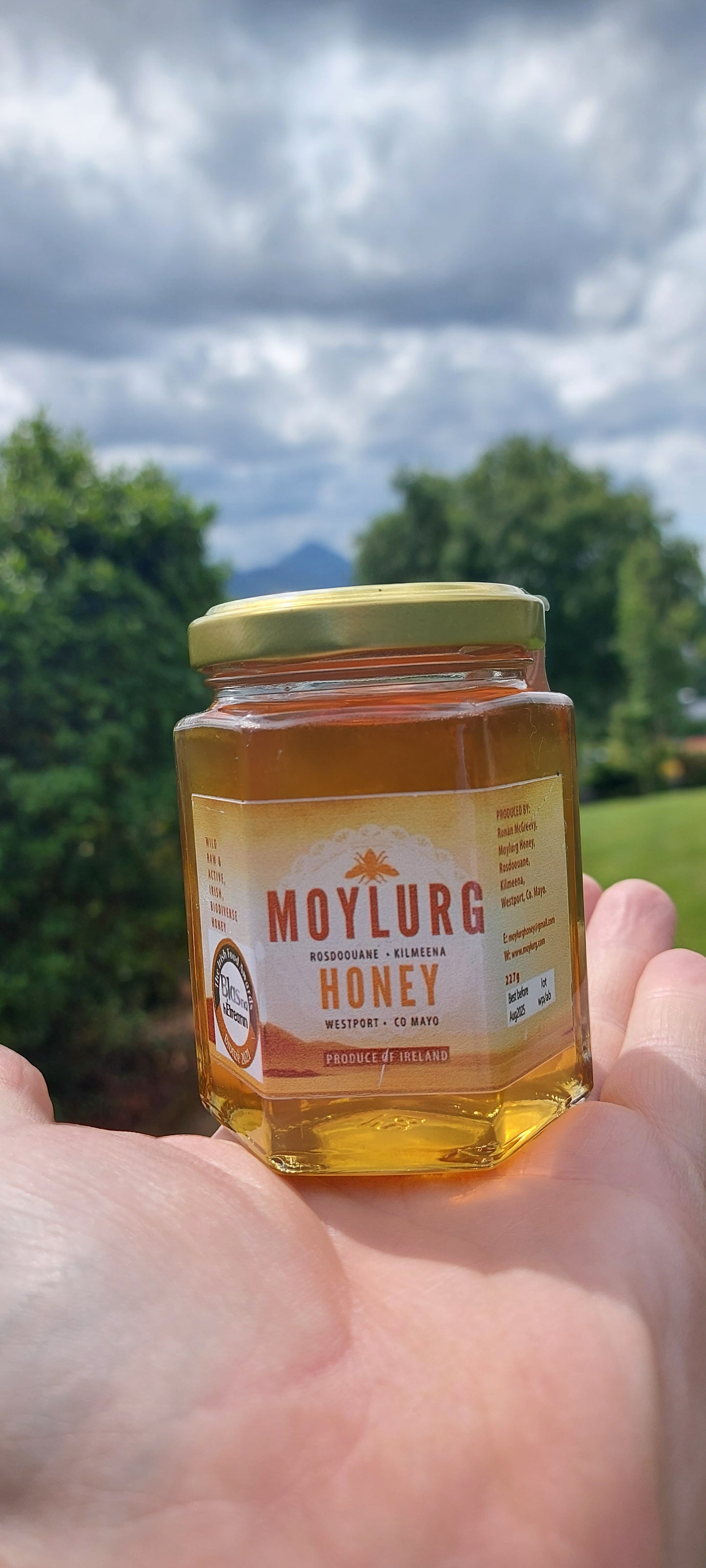 Moylurg Honey from Westport 227g