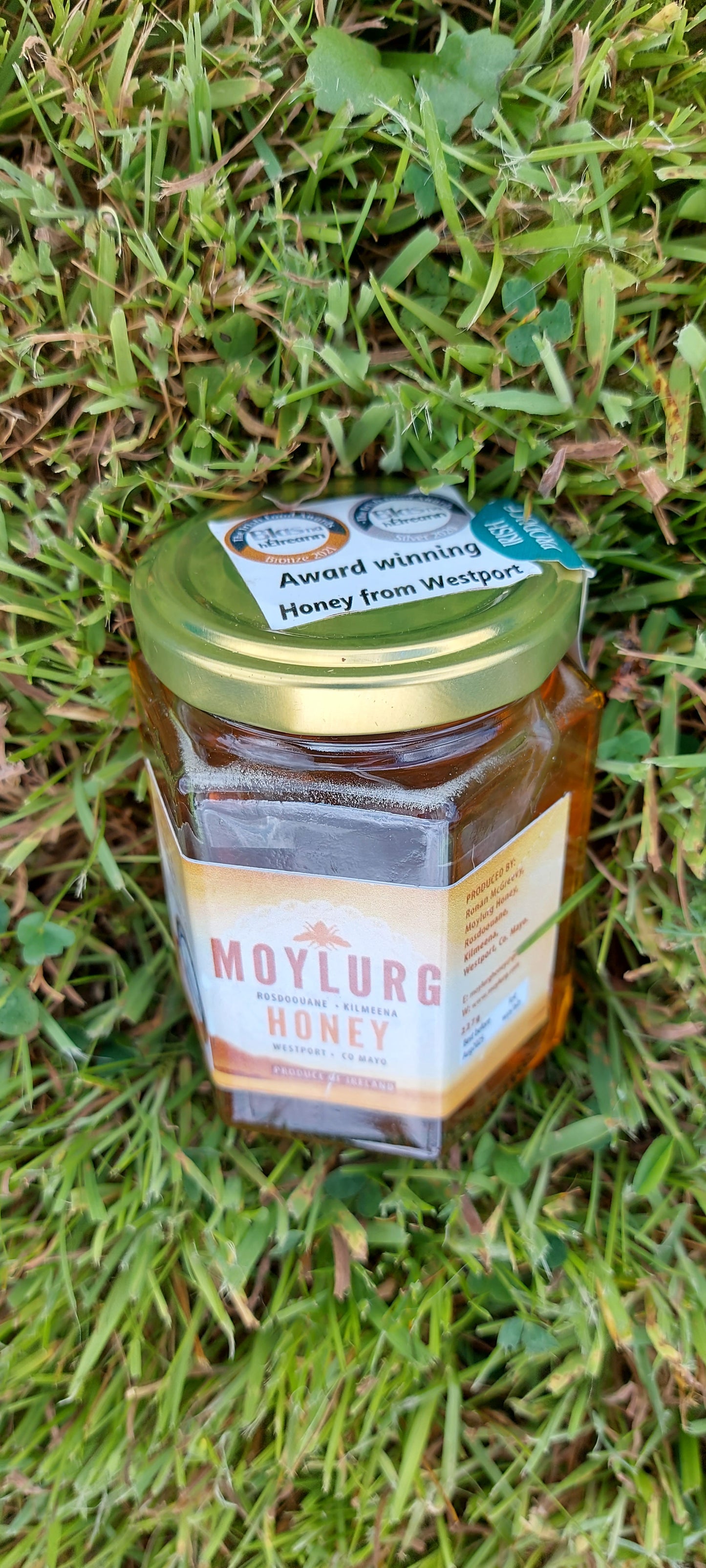 Moylurg Honey from Westport 227g