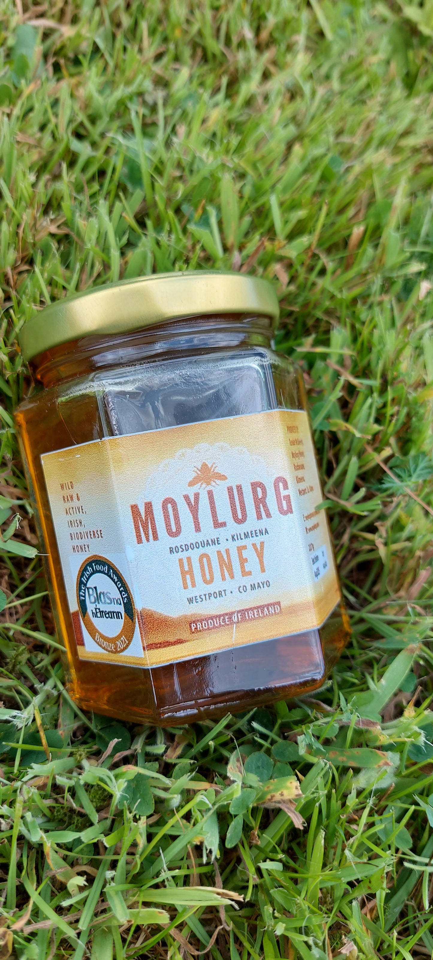 Moylurg Honey from Westport 227g